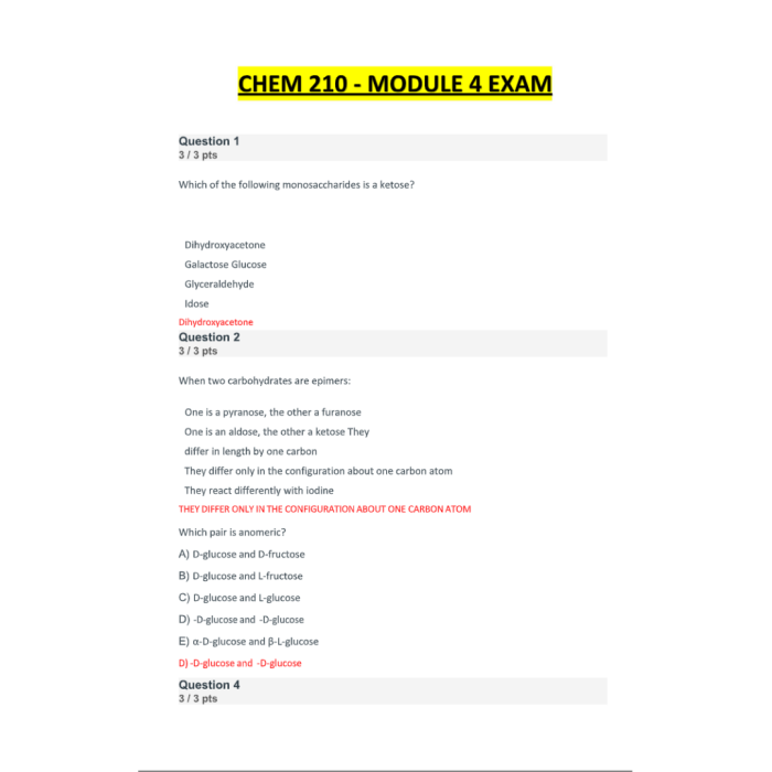 CHEM 210 Biochemistry Module 4 Exam 2024 2025 Portage Learning Questions and Ve