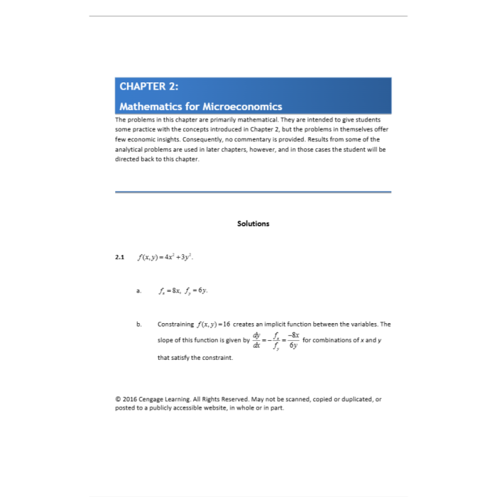 Microeconomic Theory Basic Principles and Extensions 12th Edition By Nicholso 3