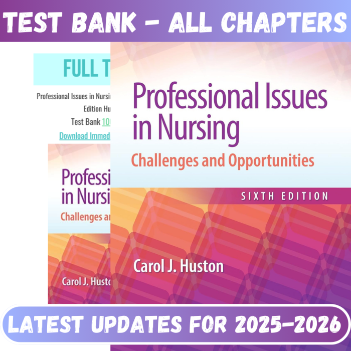Professional Issues in Nursing Challenges and Opportunities 6th Edition By Huston