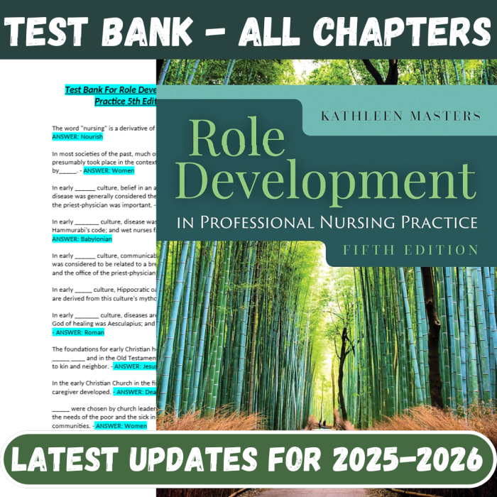 Role Development in Professional Nursing Practice 5th Edition By Masters