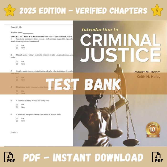 Introduction to Criminal Justice 10th Edition (Bohm, 2020)