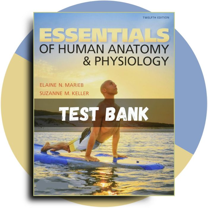 Essentials of Human Anatomy & Physiology 12th Edition (Marieb, 2018)