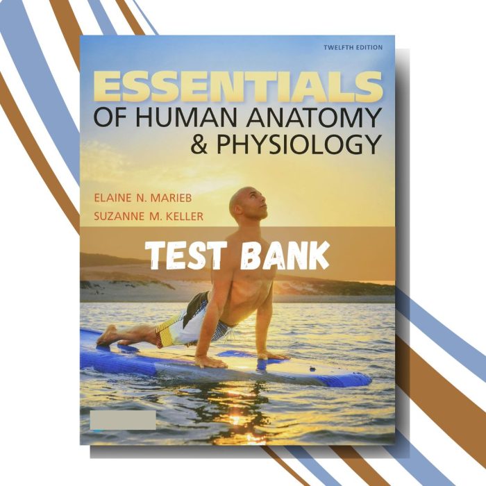 test bank for Essentials of Human Anatomy & Physiology 12th Edition (By Marieb)