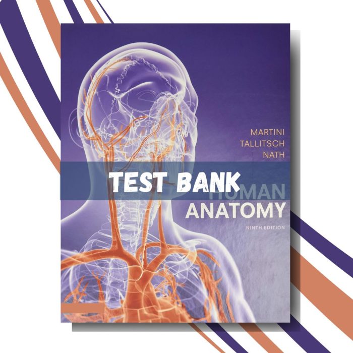 Test bank for Human Anatomy 9th Edition, (Martini, )